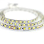 Striscia LED MARINO CRISTAL Led_2835_ip20 21922/24 14.4W (1 rotolo)